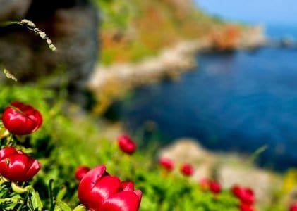 Яйлата: 6 неща, които да видиш, как да стигнеш и кога е най-красиво