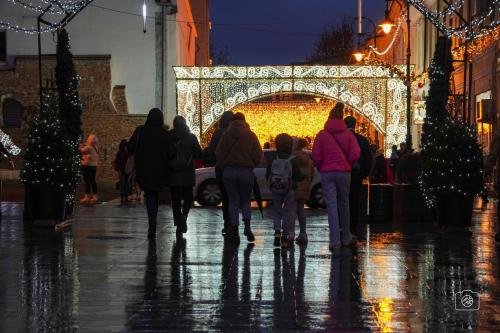 Craiova Christmas Market