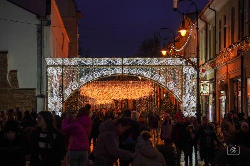 Craiova Christmas Market