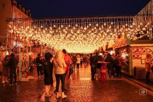 Craiova Christmas Market
