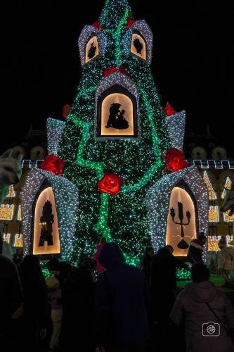 Craiova Christmas Market