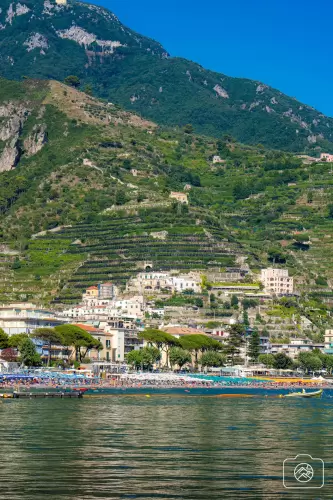 Majori