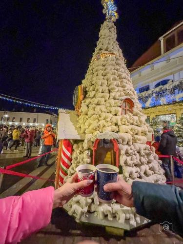 Craiova Christmas Market