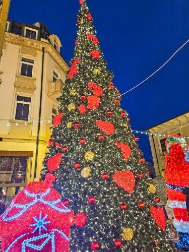 Craiova Christmas Market